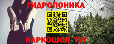 гашик Будённовск