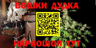гашик Будённовск