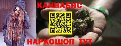 гашик Будённовск
