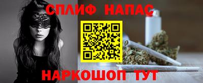 гашик Будённовск