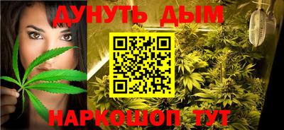 гашик Будённовск