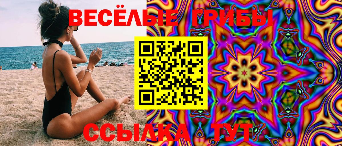 Галлюциногенные грибы Psilocybine cubensis  как найти закладки  Шумерля  Вход с VPN 